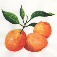 Le Albicocche 330 g