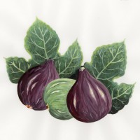 img/462fichi2.jpg?20250509221654